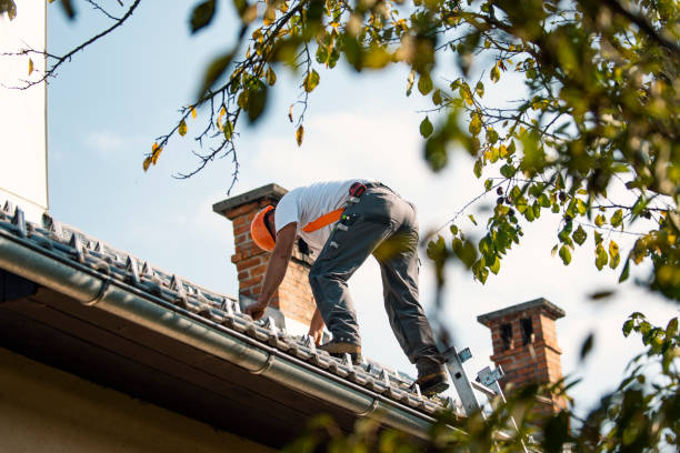 Best Roof Gutter Cleaning  in Bartonvle, IL