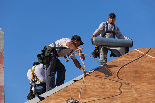 Best Flat Roof Repair Services  in Bartonvle, IL