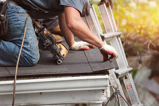 Best Roof Gutter Cleaning  in Bartonvle, IL